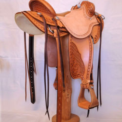 Will James Modified 08