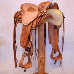 Will James Modified 08