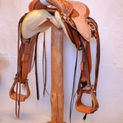 Will James Modified 08