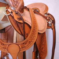 Will James Modified 08