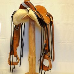 Modern Vaquero No.64