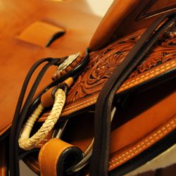 Modern Vaquero No.64