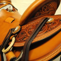 Modern Vaquero No.065