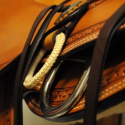 Modern Vaquero No.067