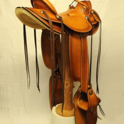 Modern Vaquero No.068