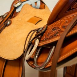 Modern Vaquero No.071