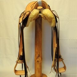 Modern Vaquero No.074