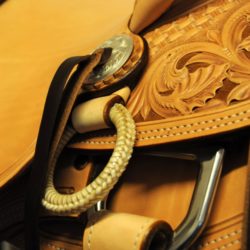 Modern Vaquero No.074