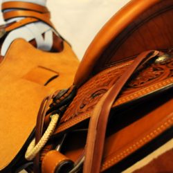 Modern Vaquero No.089