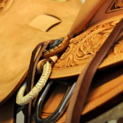 Modern Vaquero No.090