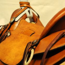 Modern Vaquero No.093