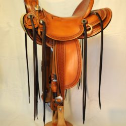 Modern Vaquero No.094