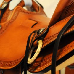 Modern Vaquero No.094