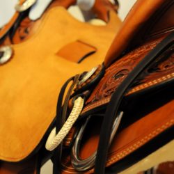 Modern Vaquero No.095