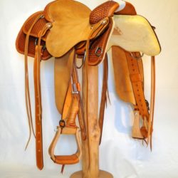 Versatility TM Roper 01