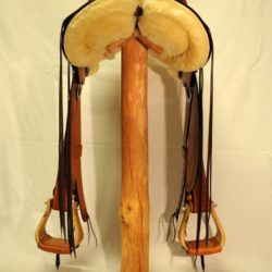 Modern Vaquero No.113