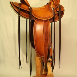 Modern Vaquero No.113