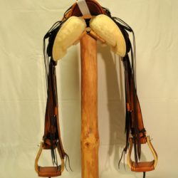 Modern Vaquero No.113