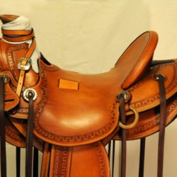 Modern Vaquero No.113