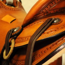 Modern Vaquero No.113