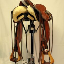 Modern Vaquero No.115