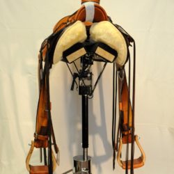 Modern Vaquero No.117