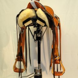 Modern Vaquero No.117