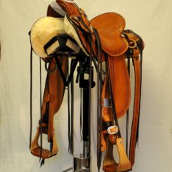 Modern Vaquero No.118