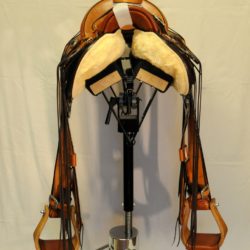 Modern Vaquero No.118