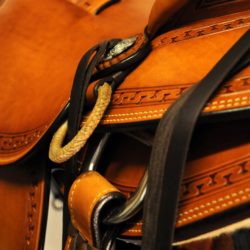 Modern Vaquero No.118