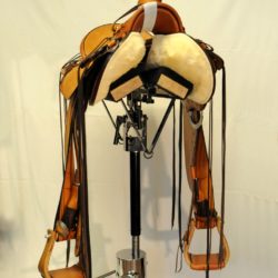 Modern Vaquero No.119