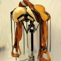 Modern Vaquero No.119