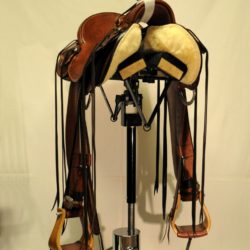 Modern Vaquero No.120