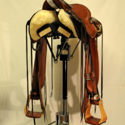 Modern Vaquero No.120