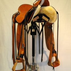 Modern Vaquero No.127