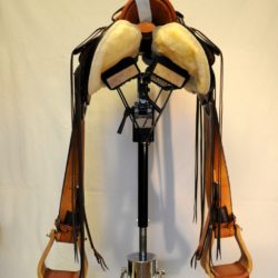 Modern Vaquero No.127