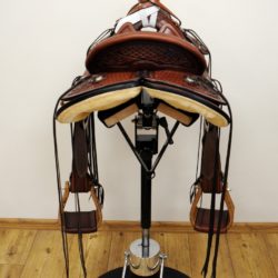 Modern Vaquero No.131