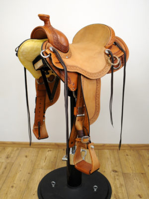 Western Dressage 05