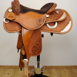 Reiner Horsemanship