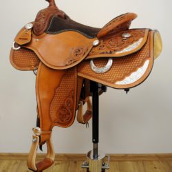 Reiner Horsemanship