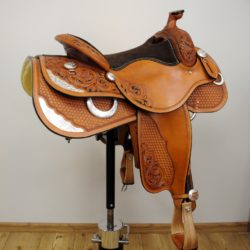 Reiner Horsemanship