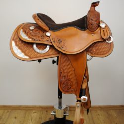 Reiner Horsemanship