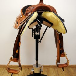 Reiner Horsemanship