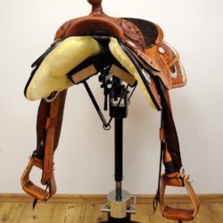 Reiner Horsemanship