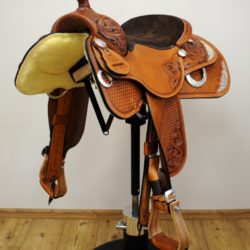 Reiner Horsemanship